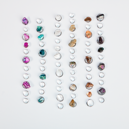 Colier Ocean Shell
